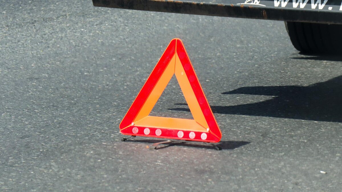    Фото: Elena Mayorova/globallookpress.com