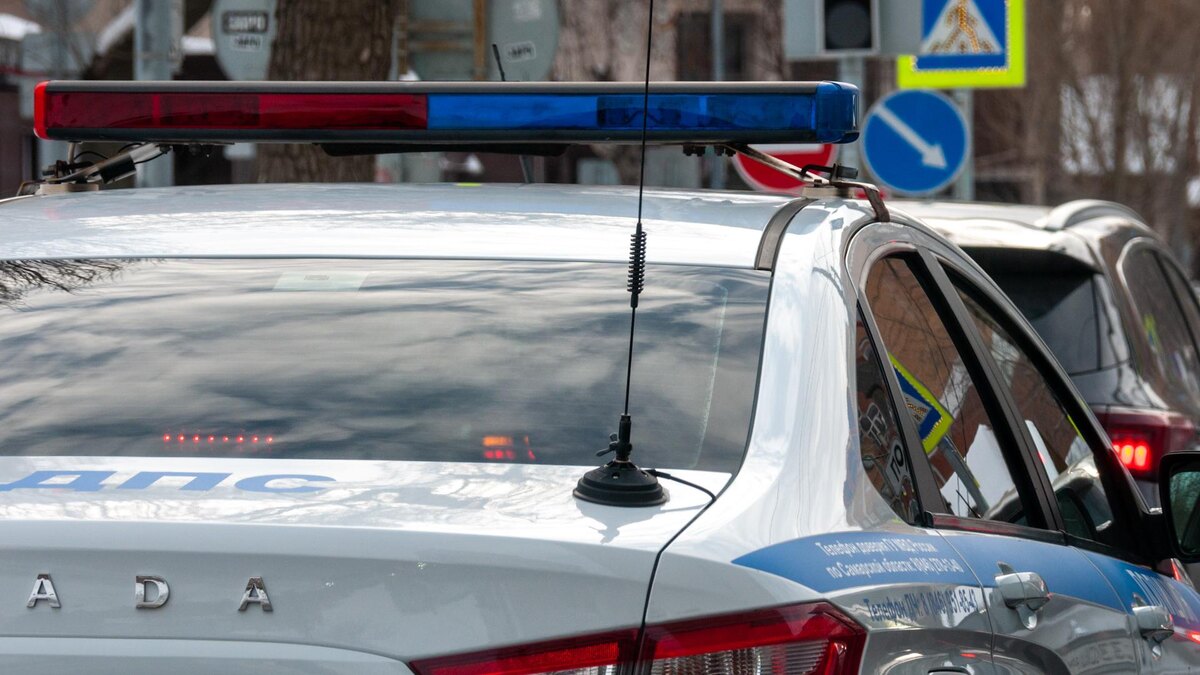    Фото: Svetlana Vozmilova/globallookpress.com