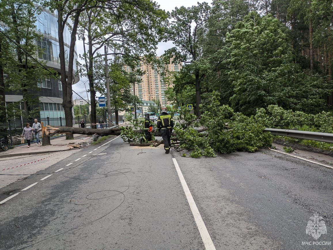 © МЧС России