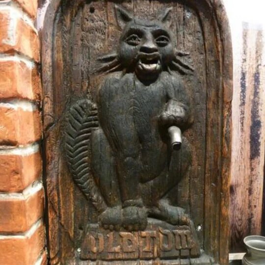 Табличка с котиком "Старым Томом"