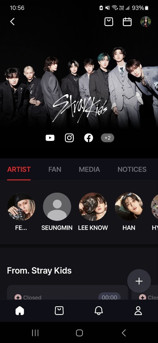 Главная страница FANS Stray Kids с официальными аккаунтами ребят