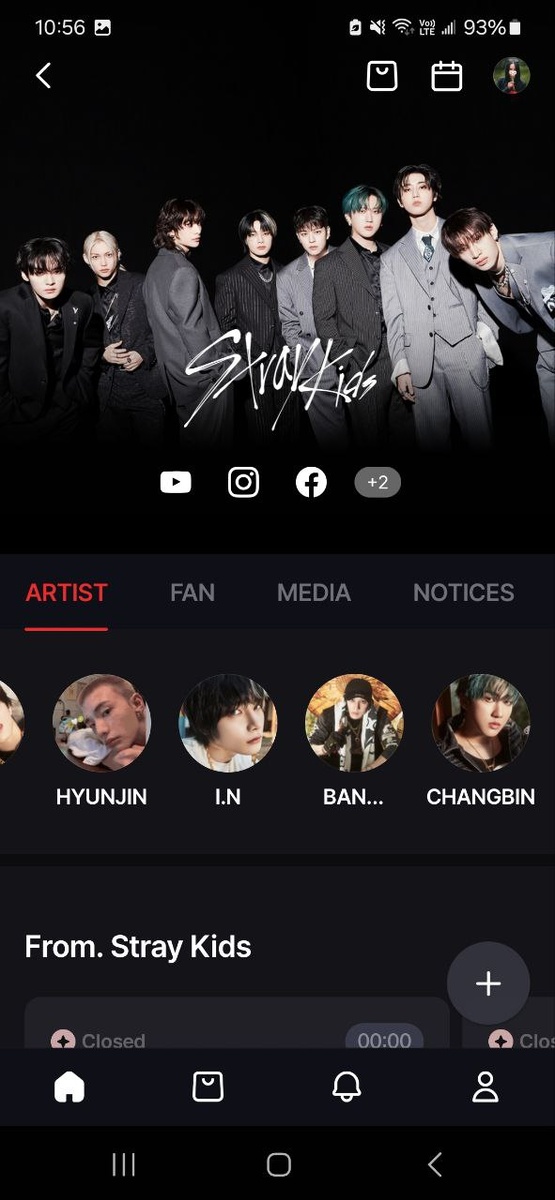 Главная страница FANS Stray Kids с официальными аккаунтами ребят