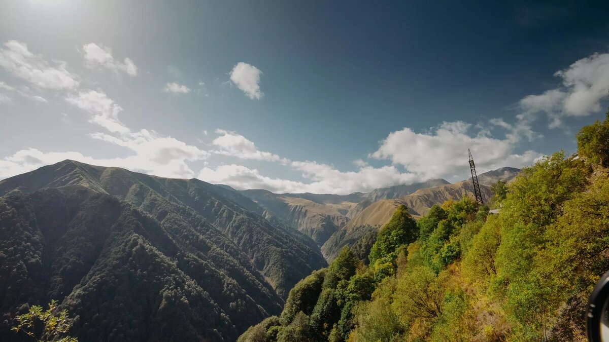 © photo: Sputnik / Stringer