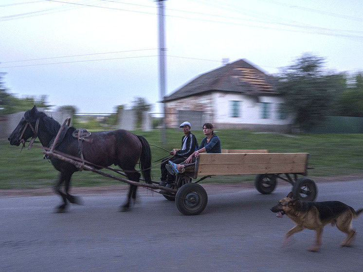 Сумская область. Фото: AP