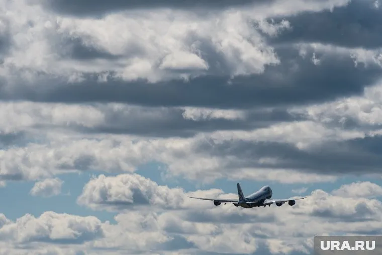 Птица врезалась в лобовое стекло ВС на высоте 400 футов (121,92 метр)
Фото: Владимир Жабриков © URA.RU