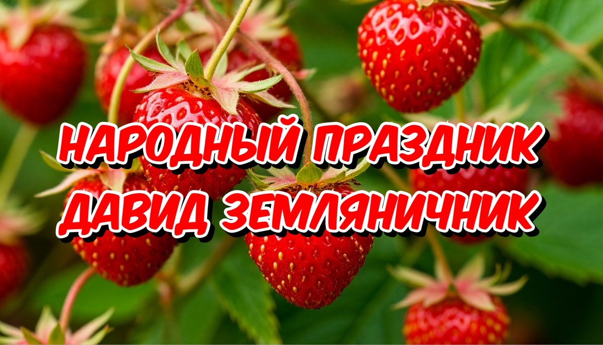 Фото создано «Известиями»
Открытка Давид Земляничник