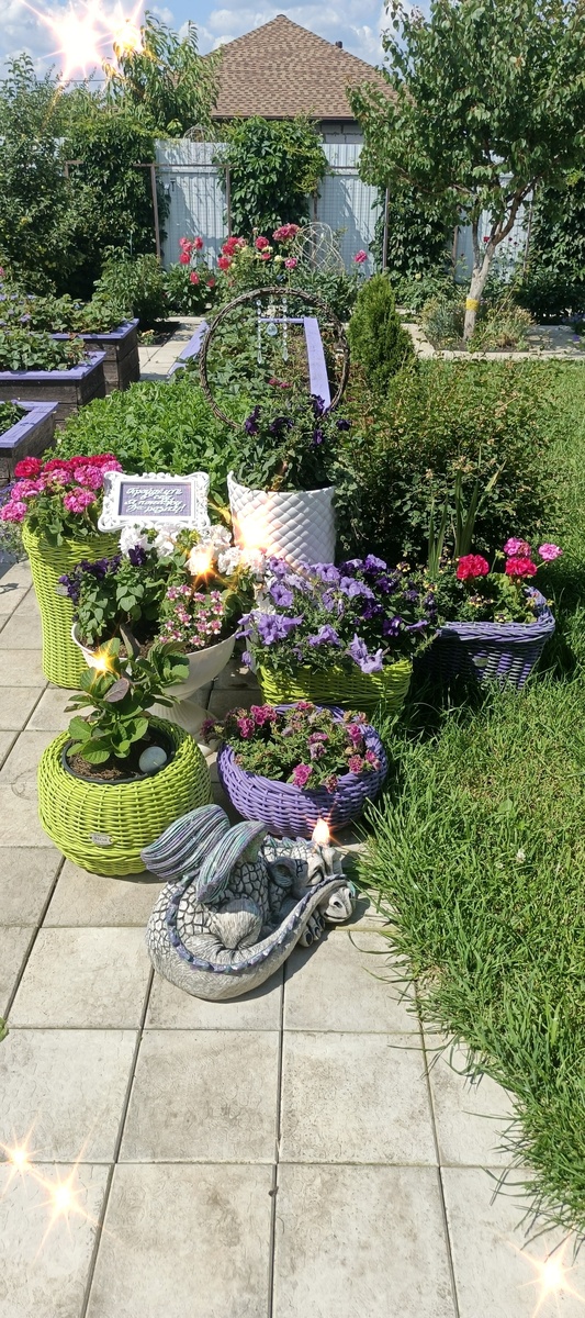 Цветы не спешат разрастается.