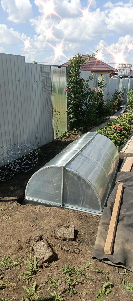 Надеюсь зимой будет хороший схрон для растишек.