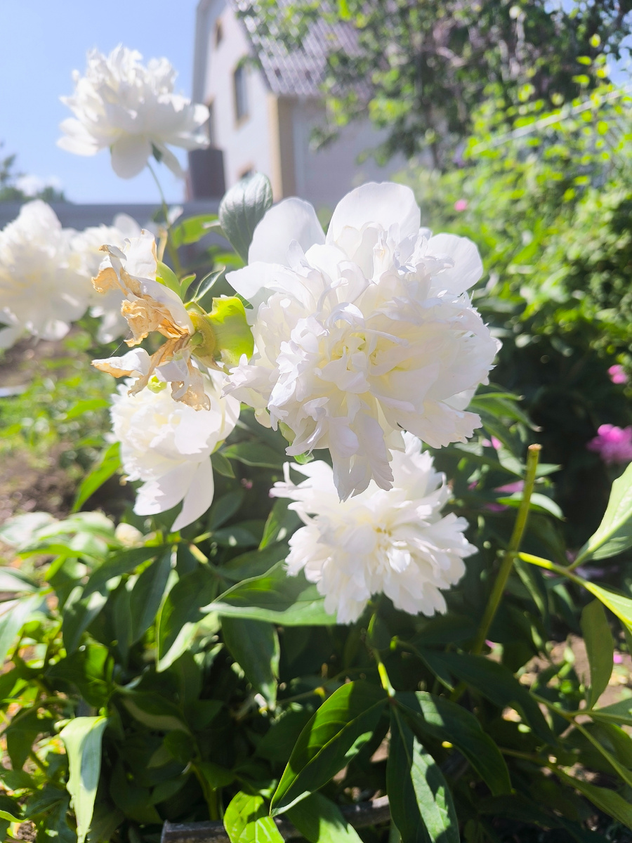 Здесь и далее фото автора канала 