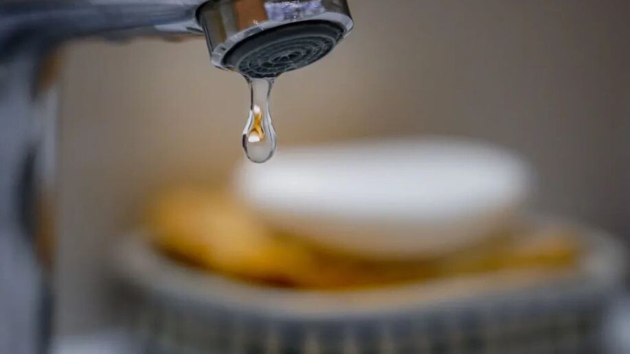    Фото: Anelovski/Shutterstock/Fotodom