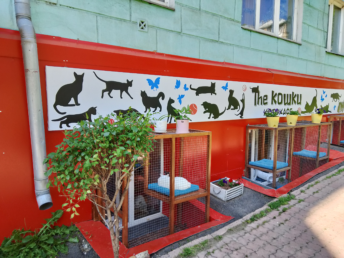 Фото автора.