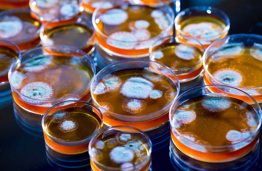    Фото: фотобанк «Лори»