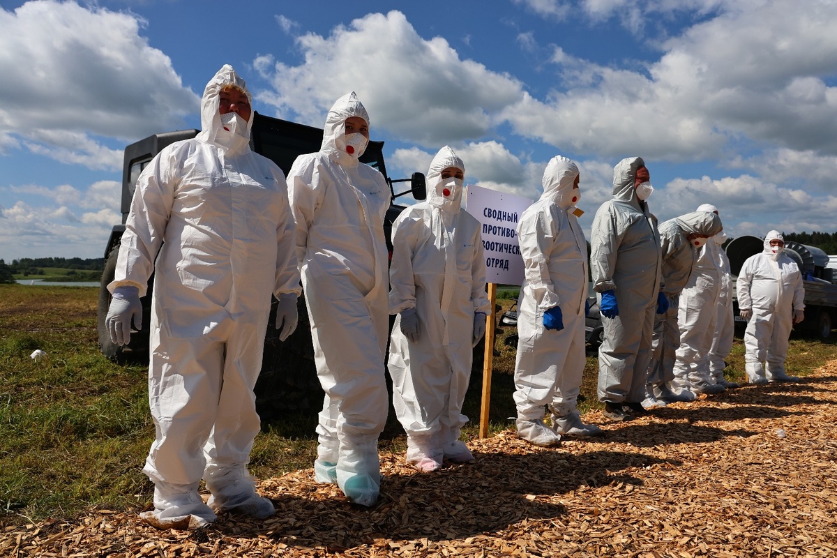 Фото: с официального сайта Правительства Вологодской области