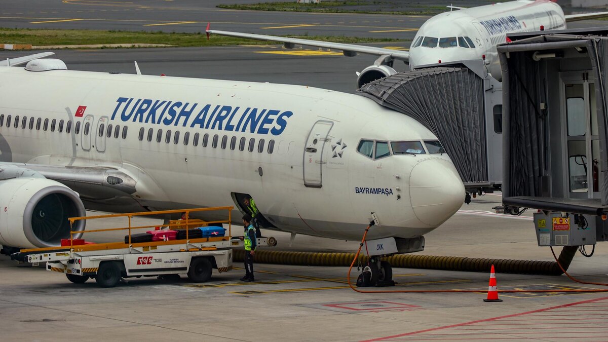    Фото: Petrov Sergey/news.ru/globallookpress.com