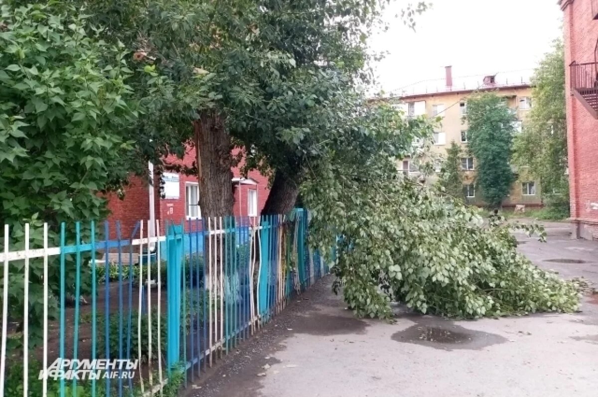    Виталий Хоценко поручил ускорить приведение Омска в порядок после урагана