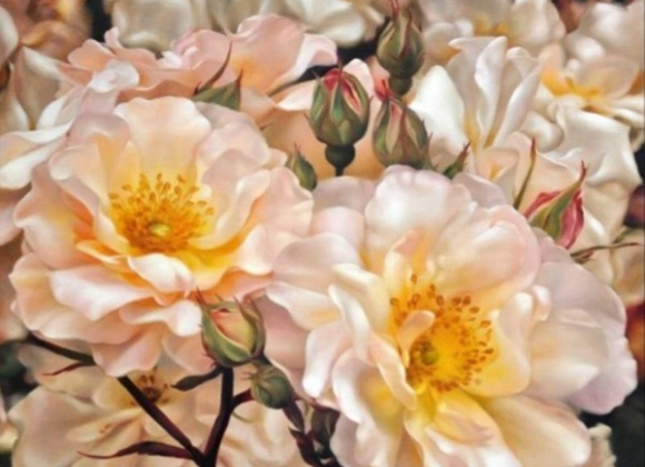 Источник изображения : vk.com› и Яндекс картинка.