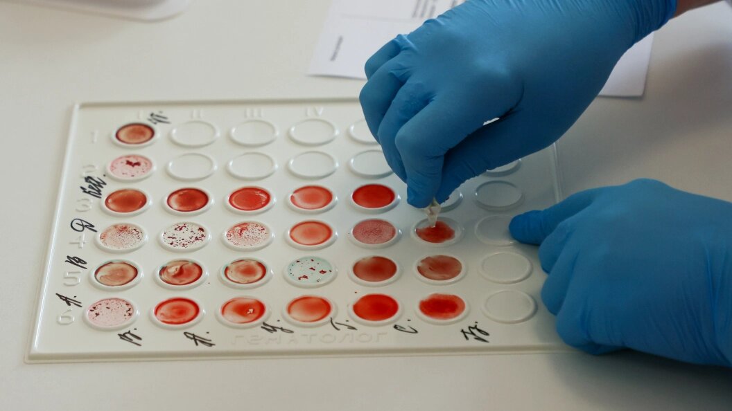    Petrov Sergey/news.ru/Globallookpress