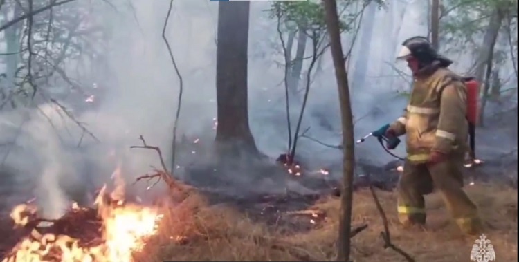    На фото стоп-кадр видеоматериала ГУ МЧС России по РО Татьяна Пшеничная