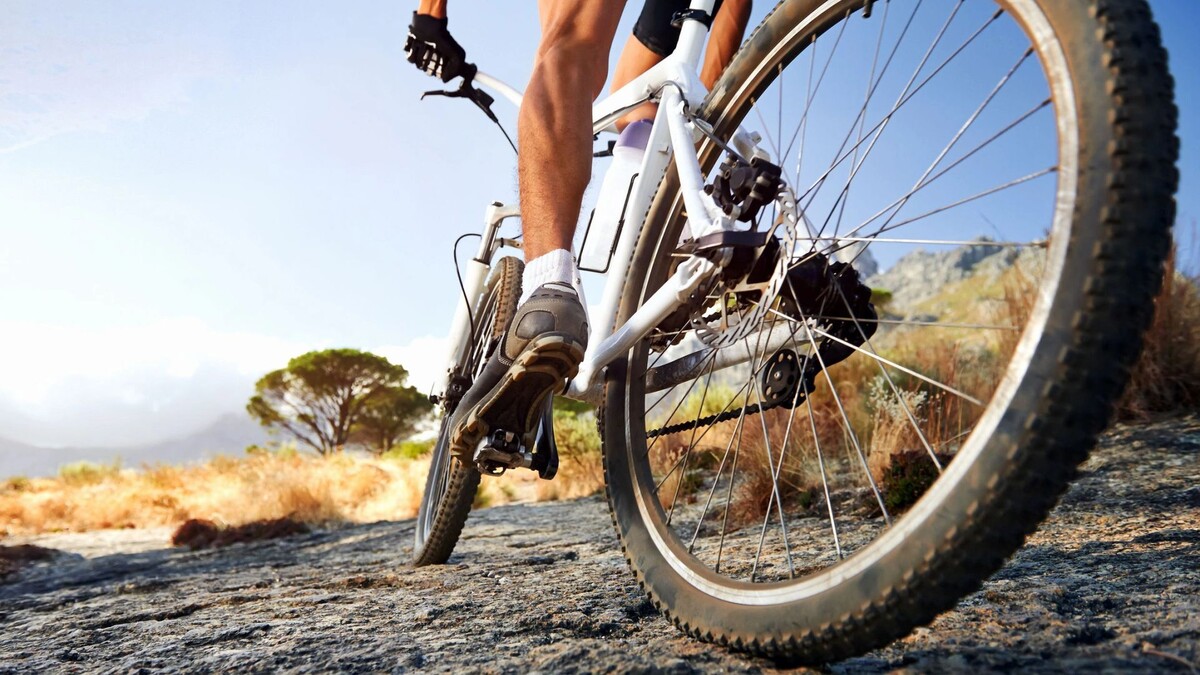    Фото: Daxiao Productions / Shutterstock / Fotodom