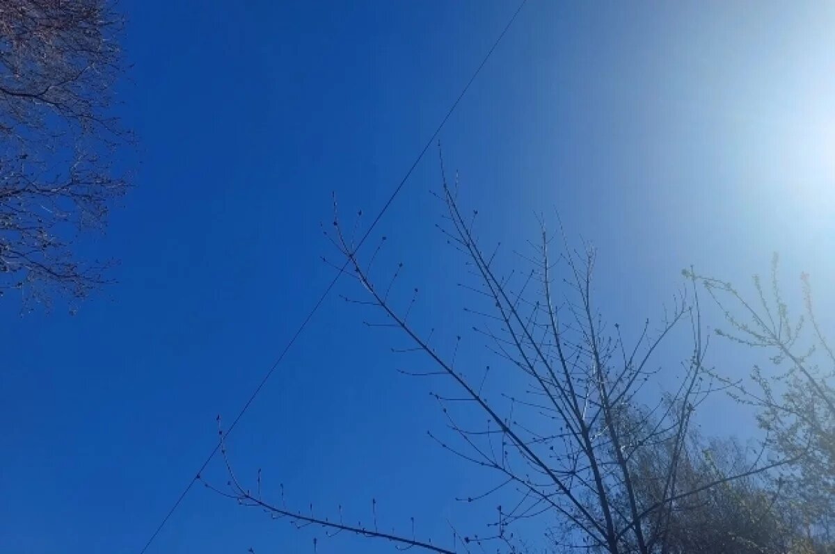    6 июля в Туле прогнозируют малооблачную погоду и до +22