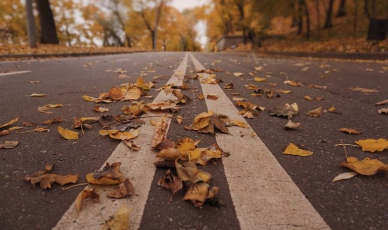    Фото: Pixabay / Eriellin Ольга Чистова