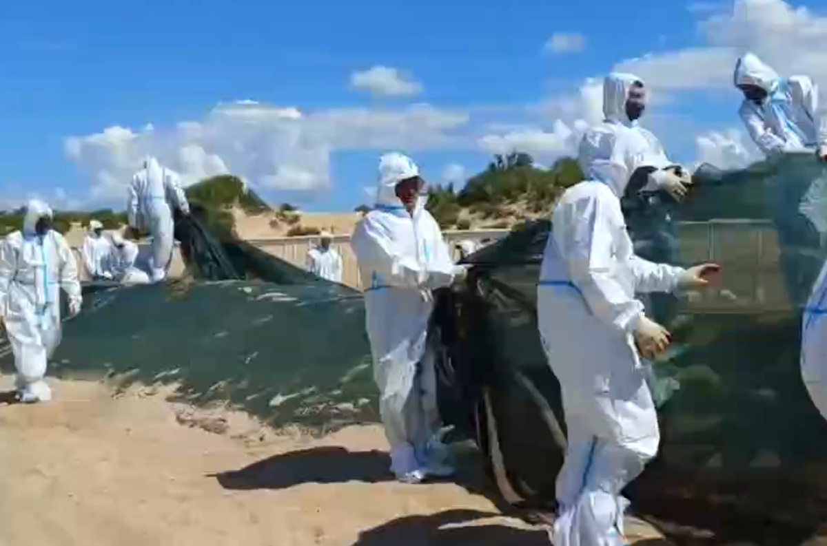    Фото: Оперштаб Кубани