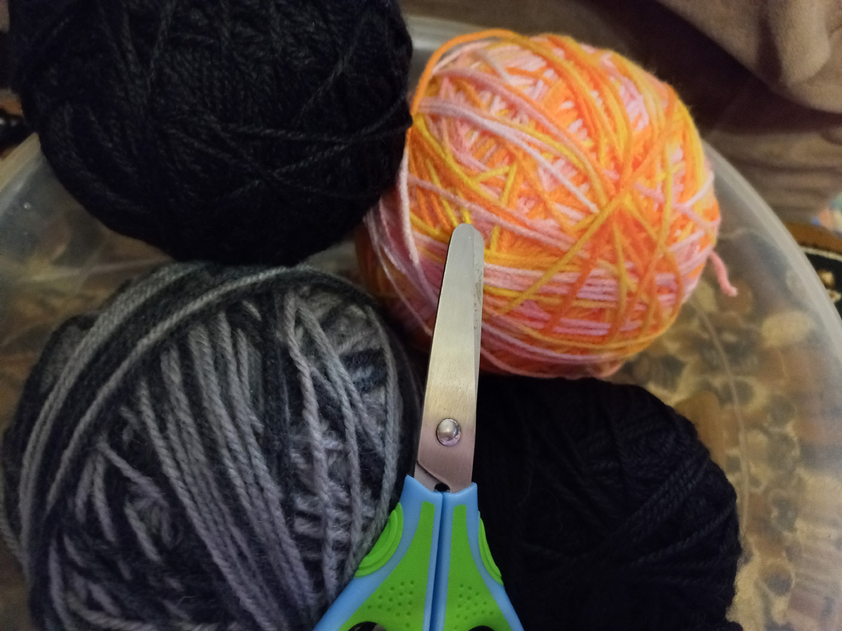 Фото автора статьи