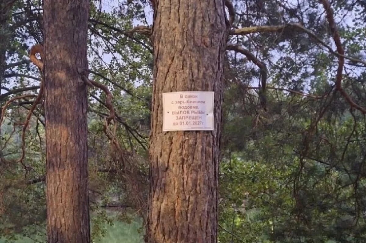    В Заречном просят воздержаться от ловли рыбы до января 2027 года
