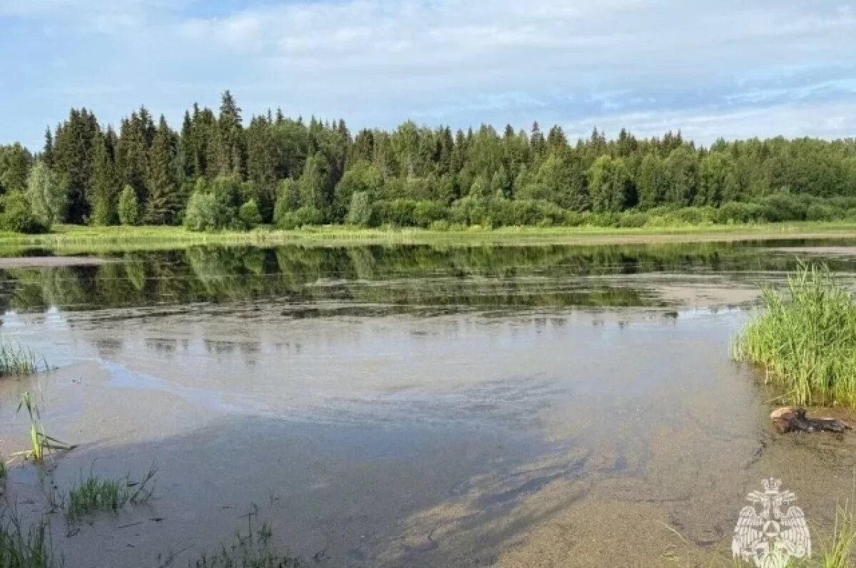    Отец с 11-летним сыном утонули в пруду в Удмуртии