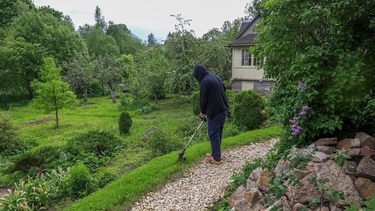 Фото: ИЗВЕСТИЯ/Сергей Коньков