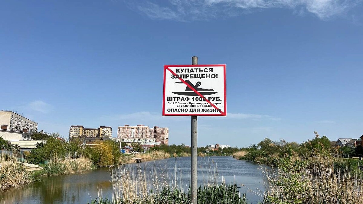    Фото: телеканал «Краснодар»