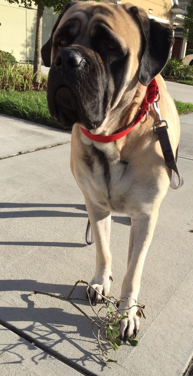 Очень активный!