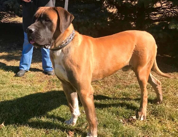 -Совсем недавно!