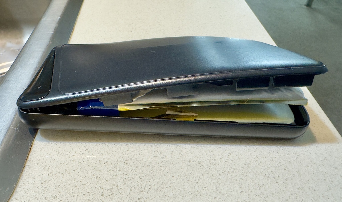 Автор: Chris Olszewski. Источник: https://commons.wikimedia.org