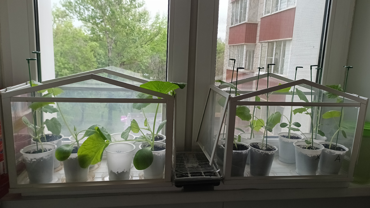 Фото из личного архива.