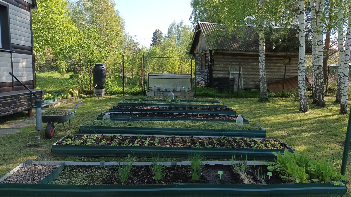 Фото из личного архива.