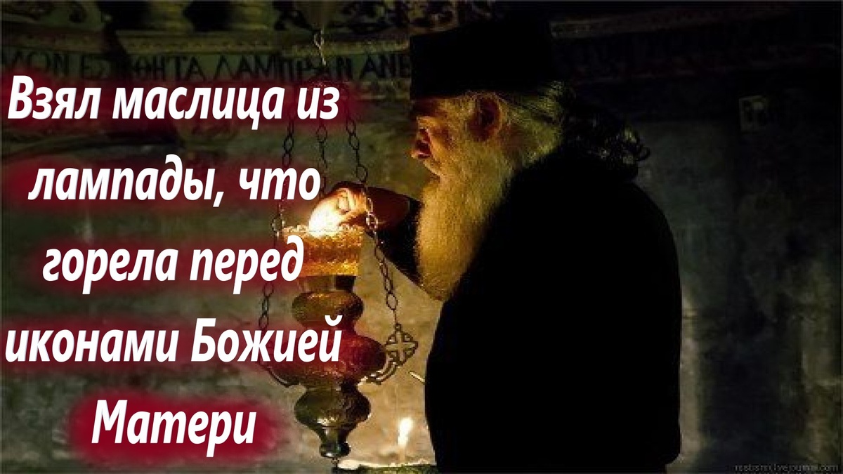 «Нет спасения, зараза проникнет в жилы, отравит кровь…»