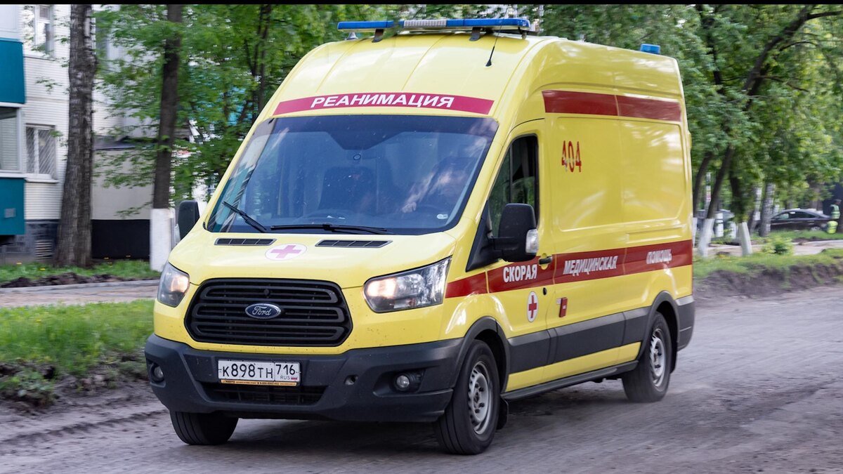    Фото: Oleg Spiridonov/globallookpress.com