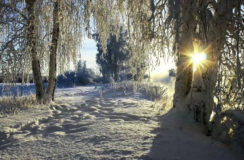 боялась сыну взглянуть в глаза