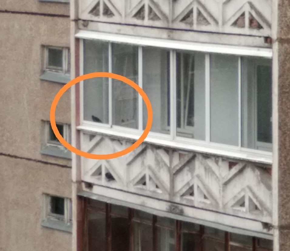    Фото: Подслушано в ПТЗ | Петрозаводск