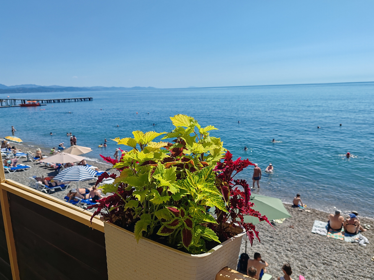 Фото автора канала. 