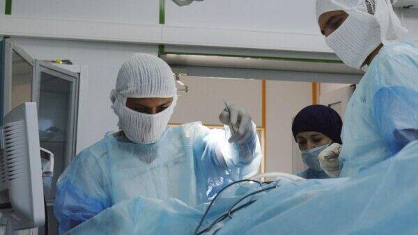    © Пресс-служба правительства Севастополя