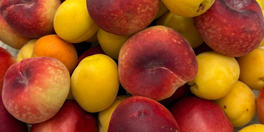 Хаос — это способ не заглядывать вперед