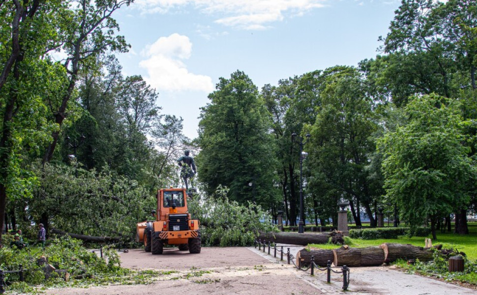 Вывоз упавших деревьев в Петроском парке Кронштадта