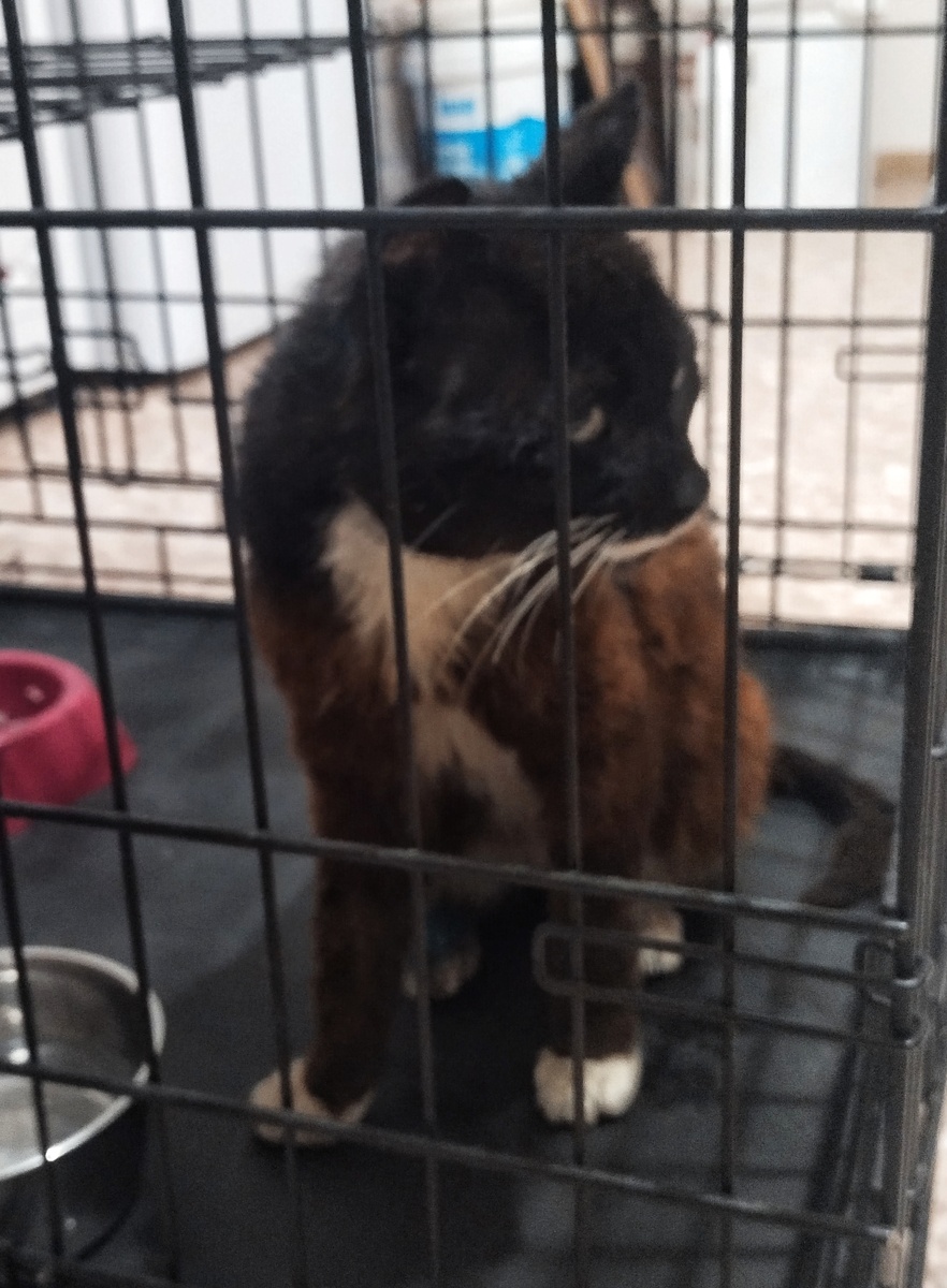 Пока только одно фото. 