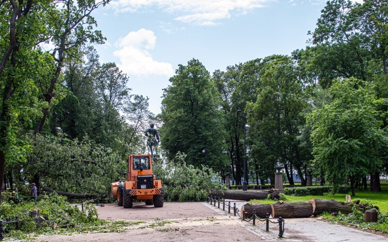Петровский парк Кронштадта. Последствия урагана.