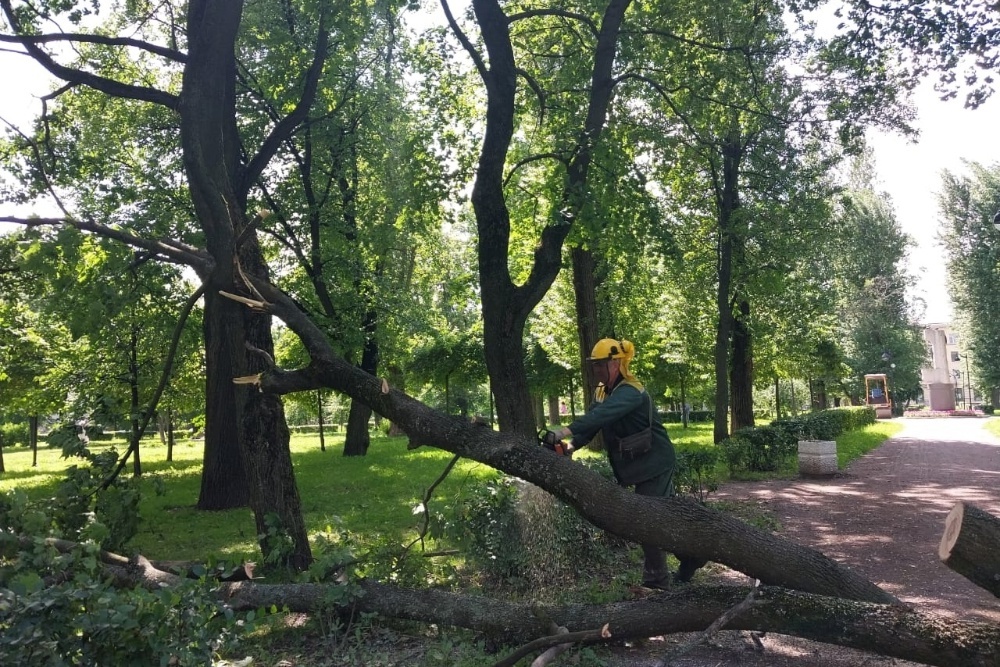     Комитет по благоустройству Санкт-Петербурга