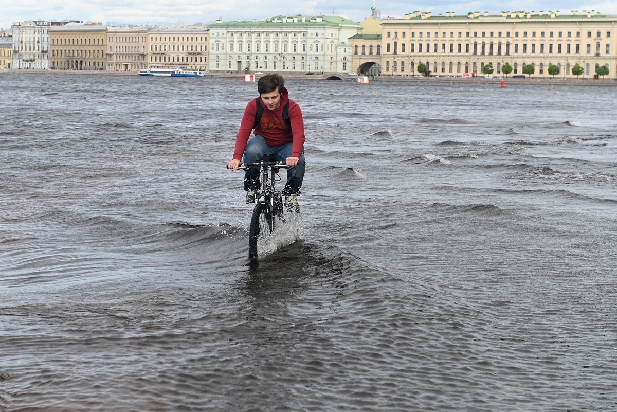    Святослав Акимов/РГ