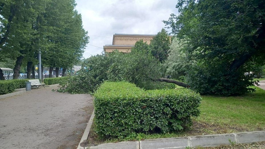    Автор фото: t.me/komkras