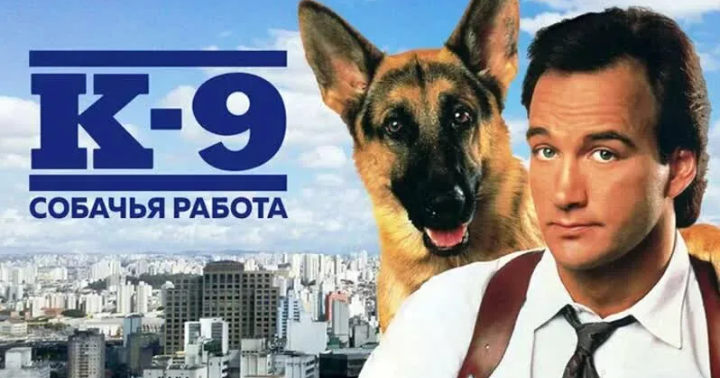 Рекомендую к просмотру 